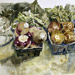 Turnip Root/Onions & Greens III